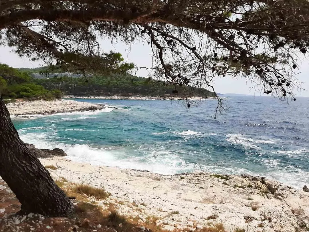 Hotel Star Mali Lošinj Croazia